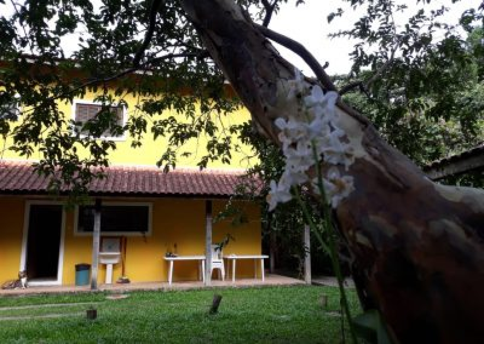 Barra do Sahy, São Sebastião, 4 Dormitórios Dormitórios, ,5 BanheirosBanheiros,Casa,Temporada,1000